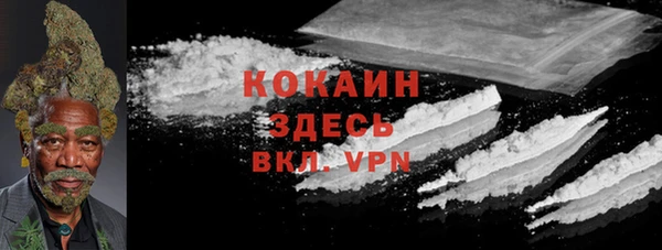 не бодяженный Дмитриев