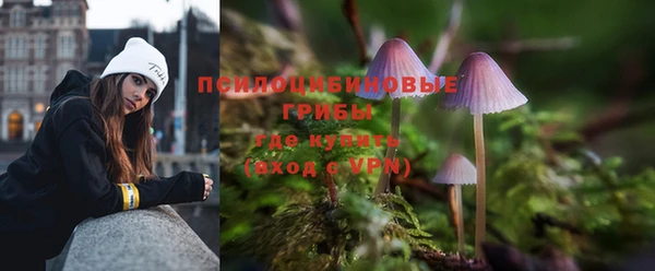 mdpv Дмитров
