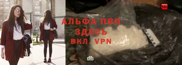 молекула духа Дмитровск
