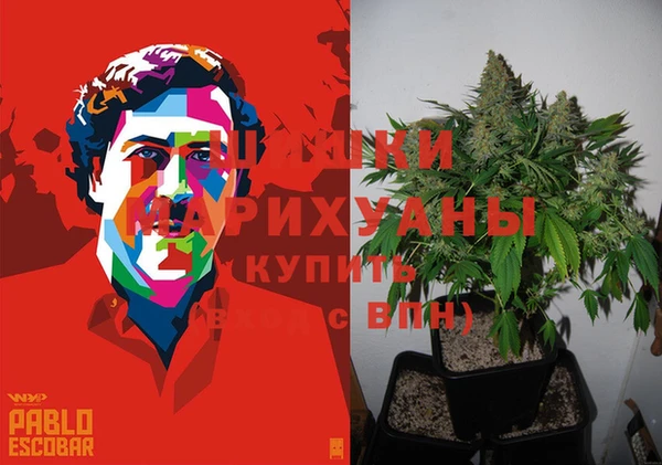 молекула духа Дмитровск
