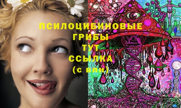 не бодяженный Дмитриев